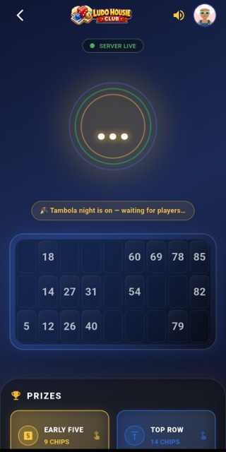 Housie Tambola ticket gameplay